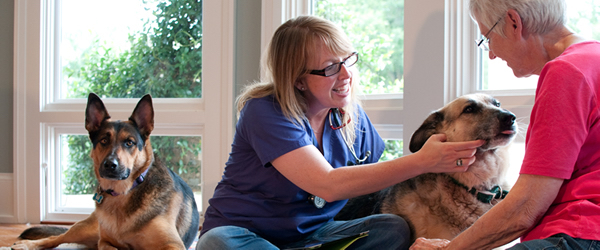 Heal House Call Veterinarian|Heal House 